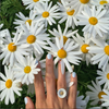 Day Dream Limedrop Nail Polish